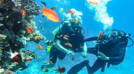 6611635fc78c4d8d6d58efbf74e5d4aa3396be3e