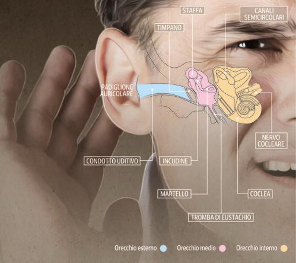 75a313bc3034a56836ef501f0a5b8d87f7668e32 75a313bc3034a56836ef501f0a5b8d87f7668e32