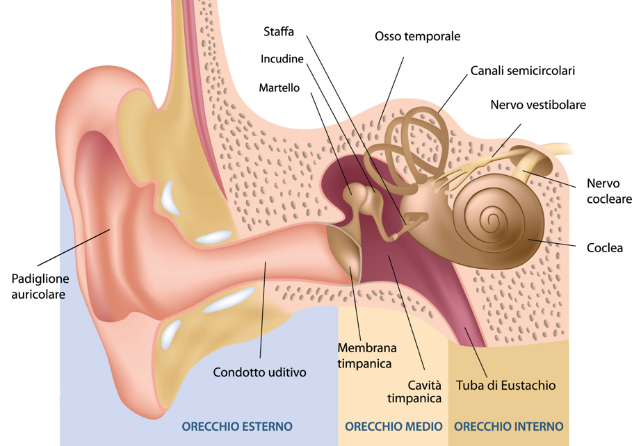 fcefdbee0e6c0e3222208782052c6e4d8da88496