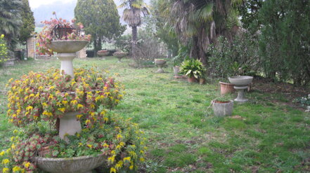 img_1066.jpeg img_1066.jpeg