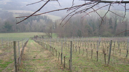img_1065.jpeg img_1065.jpeg