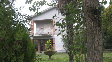 img_1059.jpeg img_1059.jpeg