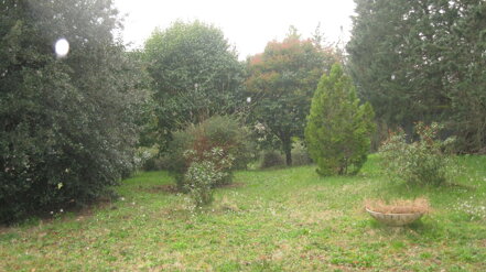img_1072.jpeg img_1072.jpeg