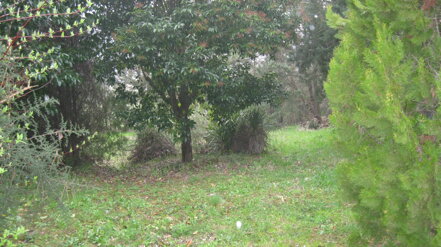 img_1068.jpeg img_1068.jpeg