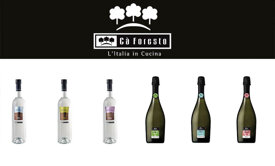 2e8d22a3e68b168f633d21a3ec3dde275094593f 2e8d22a3e68b168f633d21a3ec3dde275094593f