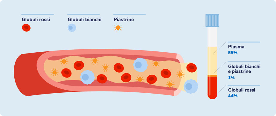 162b9a01ffb364bb0bb8431e1334d2fb8f23aa59 162b9a01ffb364bb0bb8431e1334d2fb8f23aa59