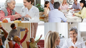 060fd6f4e44c6c7fe9f2a0d46fba2c9298a51ce3