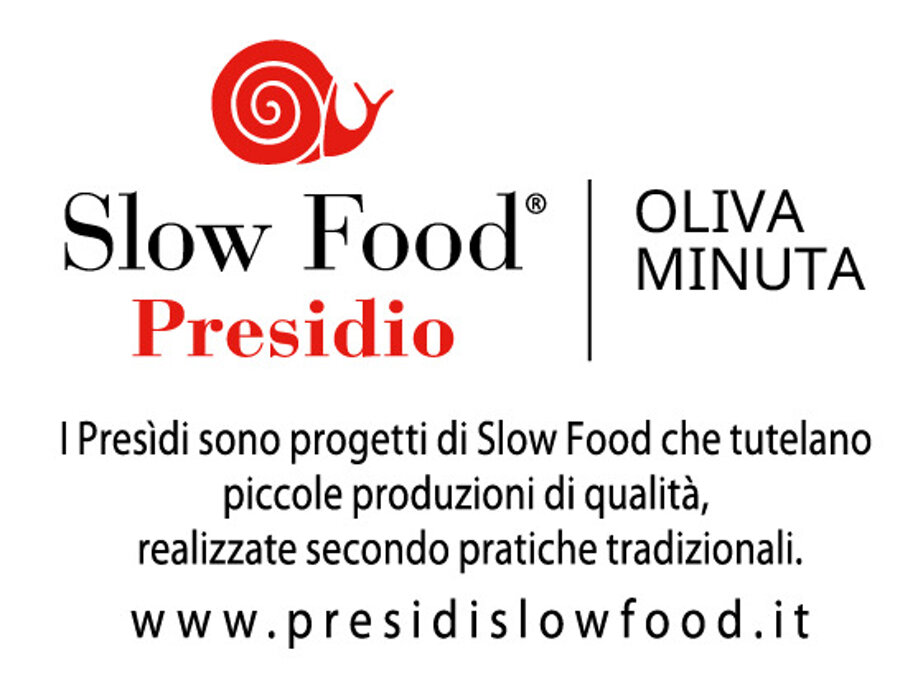 9085c371b126319cab238c20056144c4becab835.jpeg 9085c371b126319cab238c20056144c4becab835.jpeg