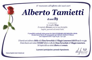 bernardi%20paola%20%20-%20grande%20girasole.jpeg bernardi%20paola%20%20-%20grande%20girasole.jpeg
