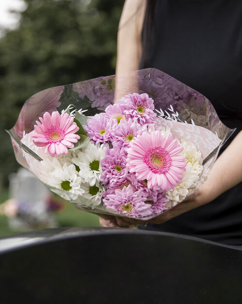 3cfe3f06-56b9-4836-b7c2-9fcbf15d04c9 3cfe3f06-56b9-4836-b7c2-9fcbf15d04c9