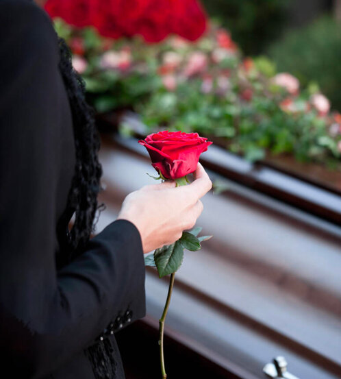 66d460ed-4b3b-4f61-9ac7-cbb594942d77