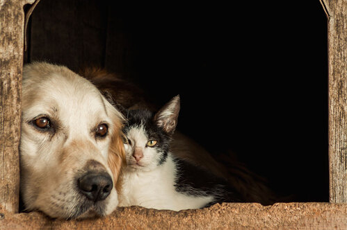 3c97cf18-2e49-438e-a19a-383fbc83e66f