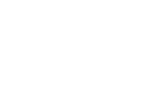 logo_df_100