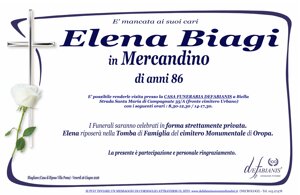leoncini%20aladina%20-%20grande.jpeg leoncini%20aladina%20-%20grande.jpeg