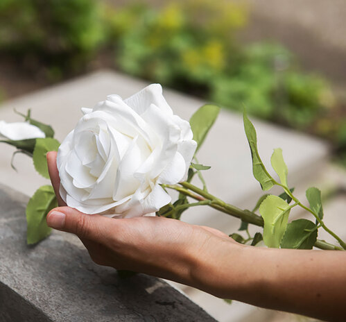 757f4cff-8f72-46da-b81c-017ee5630c2b