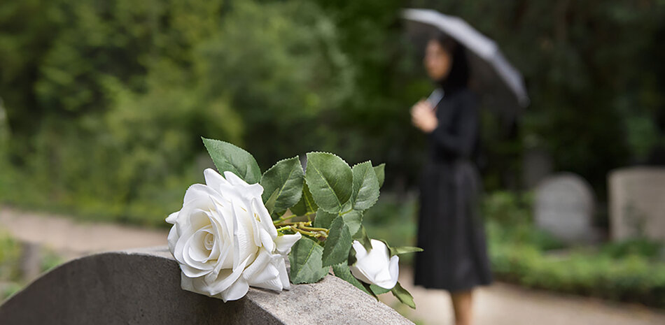 9fb28183-6658-4119-bb88-bdbb8f3bb561