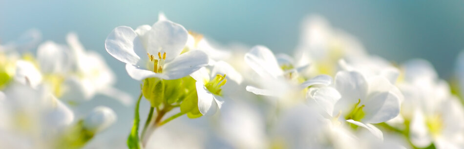 447897ab-daba-4e7f-b9d8-0f6a1ffb603d