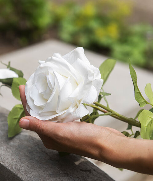 4cd849f6-fb45-4f13-b554-cc72ce661635