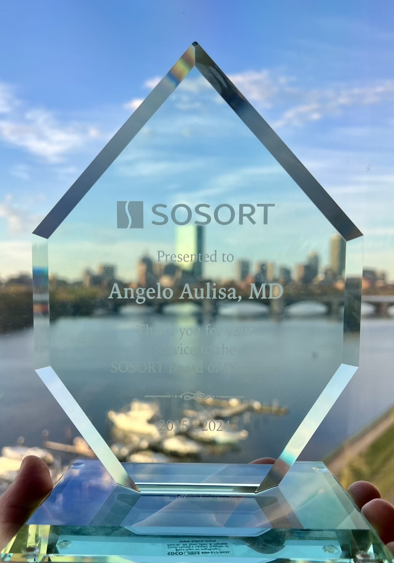 Thank you for your service to the SOSORT Board of Directors 2015-24