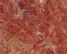 Breccia pernice