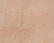 Rosa perlino