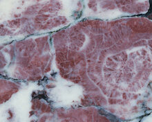 Breccia capraia