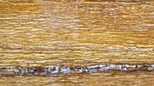 Travertino legno