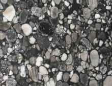 Black marinace