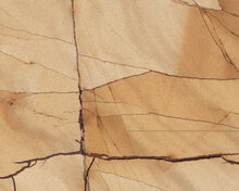 Teak wood