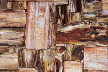 Retro Petrified Wood