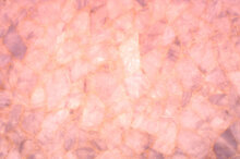 Pink Quartz