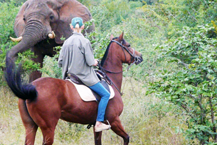 3afc5113ab9735d4aa7dc7d1e59fbd13fbb2323e