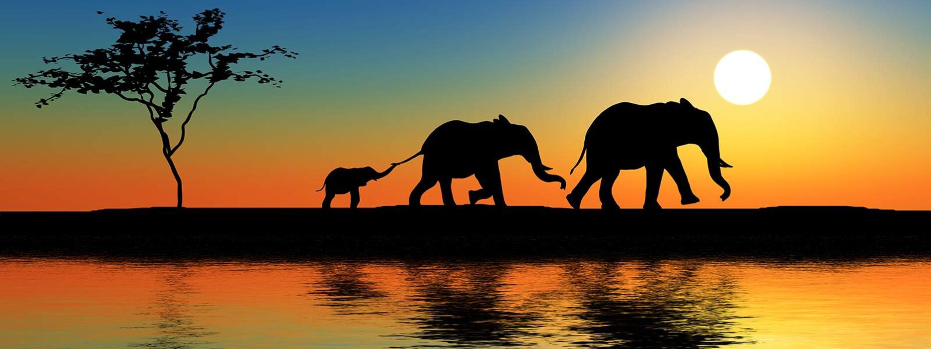 5c1e6fbe16f788a3a6f8334eb293debd13709682.jpeg 5c1e6fbe16f788a3a6f8334eb293debd13709682.jpeg