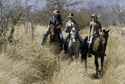 942d403264854fb1c7abd9e73a2a7bedb7cd4ce7