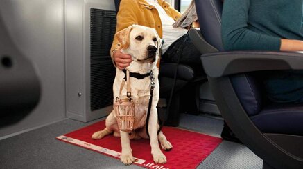 ca69e7cda9a266061137515110d70a22dde7ecea.jpeg ca69e7cda9a266061137515110d70a22dde7ecea.jpeg