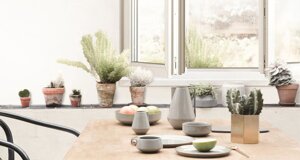 agreen_%20synego.jpeg agreen_%20synego.jpeg