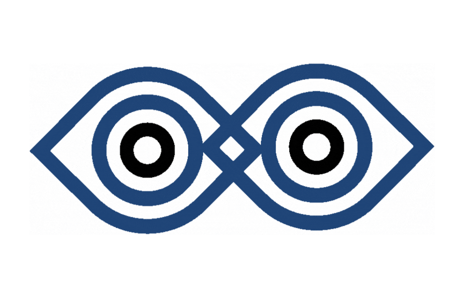 📘 Financial Vision®: la fondazione di una nuova disciplina per leggere l’impresa 📘 Financial Vision®: la fondazione di una nuova disciplina per leggere l’impresa