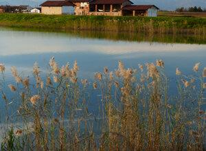 fulviovarone%20-%20cereaglio,%20la%20longa,%20poirinolibro%20-%20014.jpeg fulviovarone%20-%20cereaglio,%20la%20longa,%20poirinolibro%20-%20014.jpeg