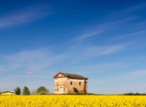 303859.svg 303859.svg