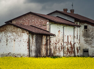 susanna%20fusaro%20panchina%20cimitero.jpeg susanna%20fusaro%20panchina%20cimitero.jpeg