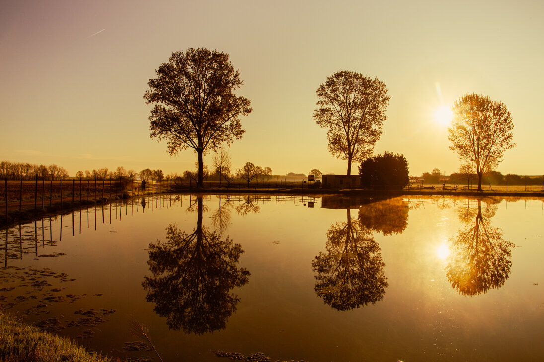 emanuele romano castiun2.jpeg emanuele romano castiun2.jpeg