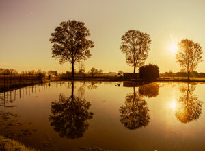 s.maria%20maggiore%20pierpaolo%20tachis.jpeg s.maria%20maggiore%20pierpaolo%20tachis.jpeg