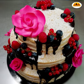 45f0403bddd1c2818d0bc7969ce8130c41678acc