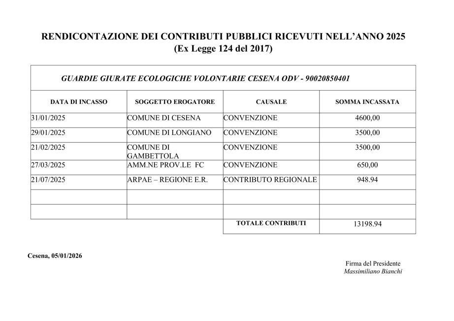 modello di rendicontazione dei contributi pubblici.jpeg