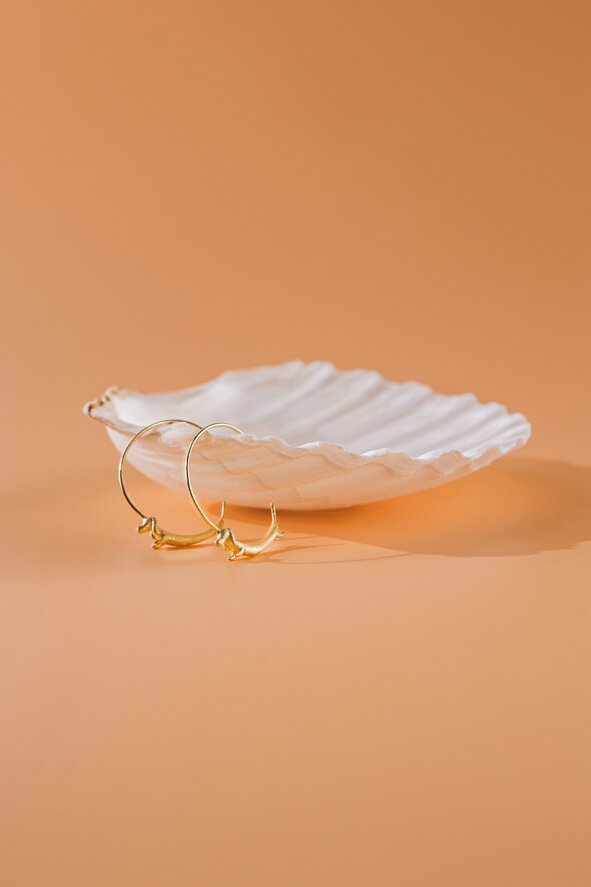 birgith-roosipuu-k--infqwwu4-unsplash.jpeg