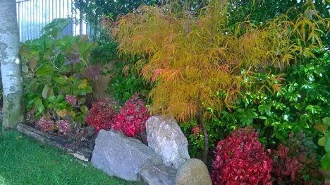 1eb455b8fd84480792adb3dad1df2159e6ba5f31