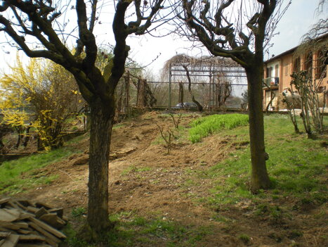 3003a2e0e524538e4983a62f74a878f241d1dc2a