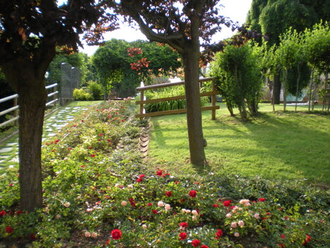 652d15a3768e1bcc66eaad4f2a7542b80d09b120