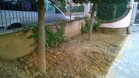 6a7255e4aecf81b77ba021216f7653174a3986b3