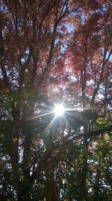 c078c122cd5ec086f5e64ca975d30b8d99911b0a